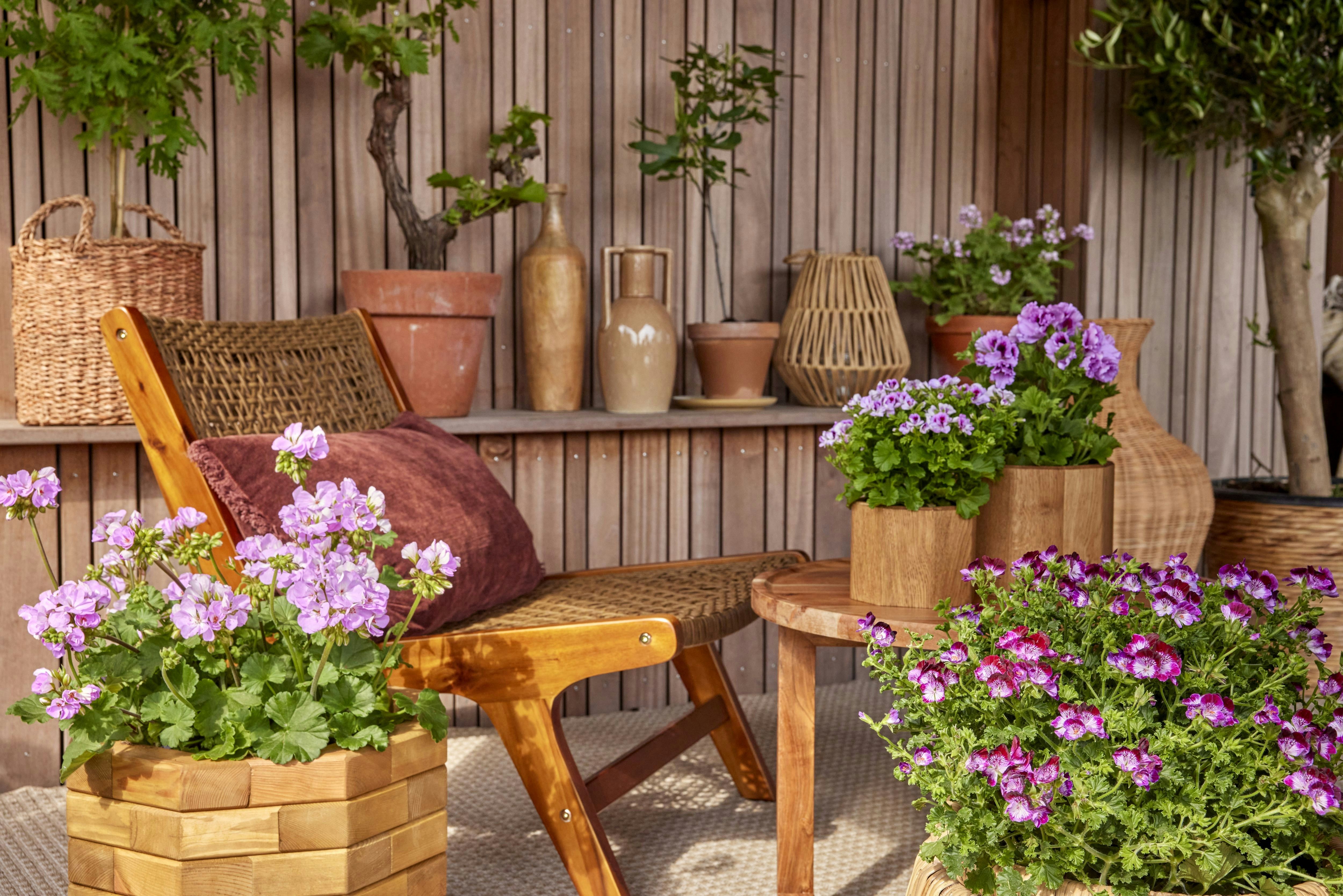 Cozy outdoor patio filled with plants and flowers showcasing summer biophilic design