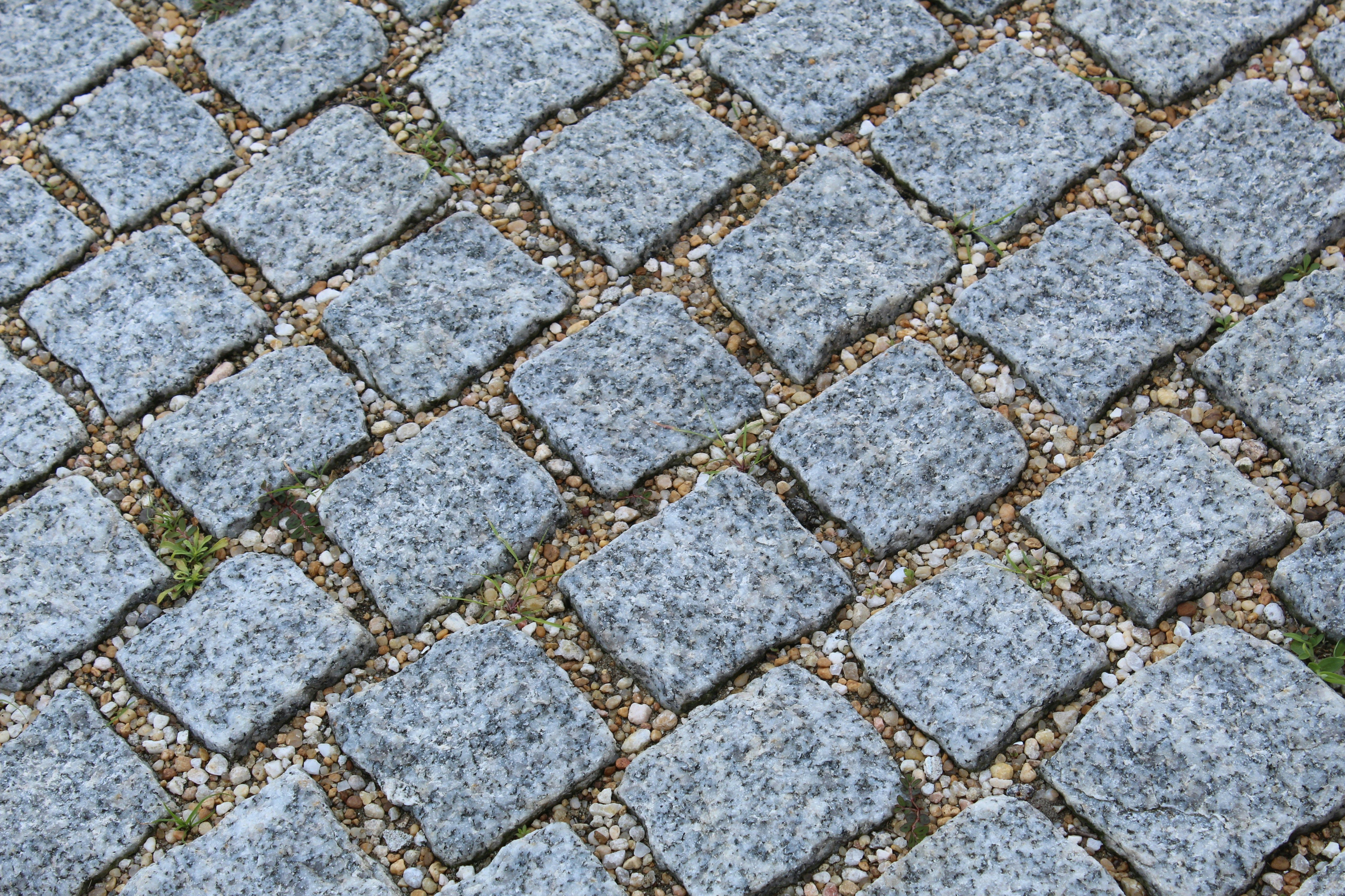 Incorporate natural stone pathways to transform your patio with sustainable fall landscaping and eco-friendly design.