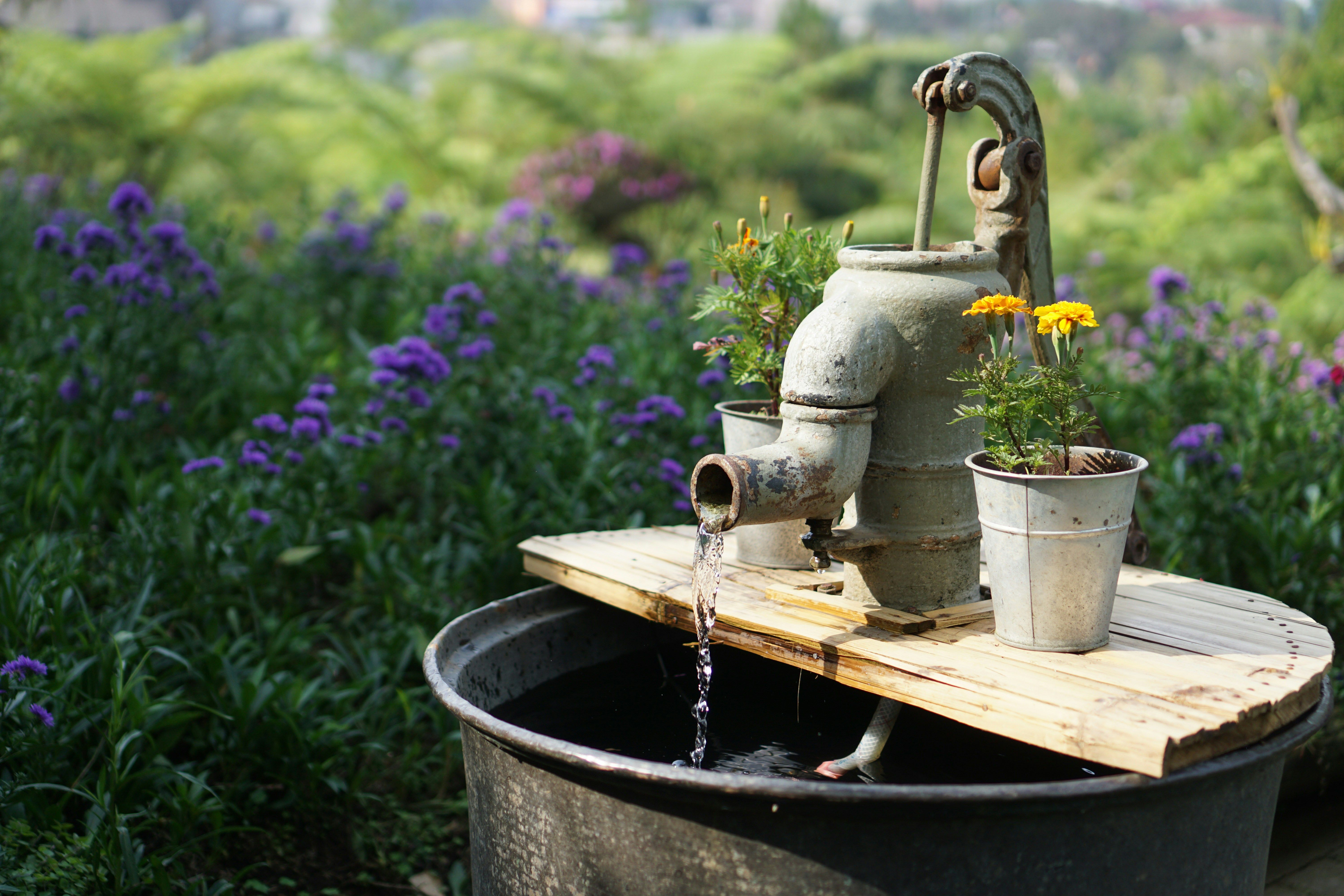 Install a rainwater collection barrel to support your fall garden and embrace sustainable outdoor patio ideas.