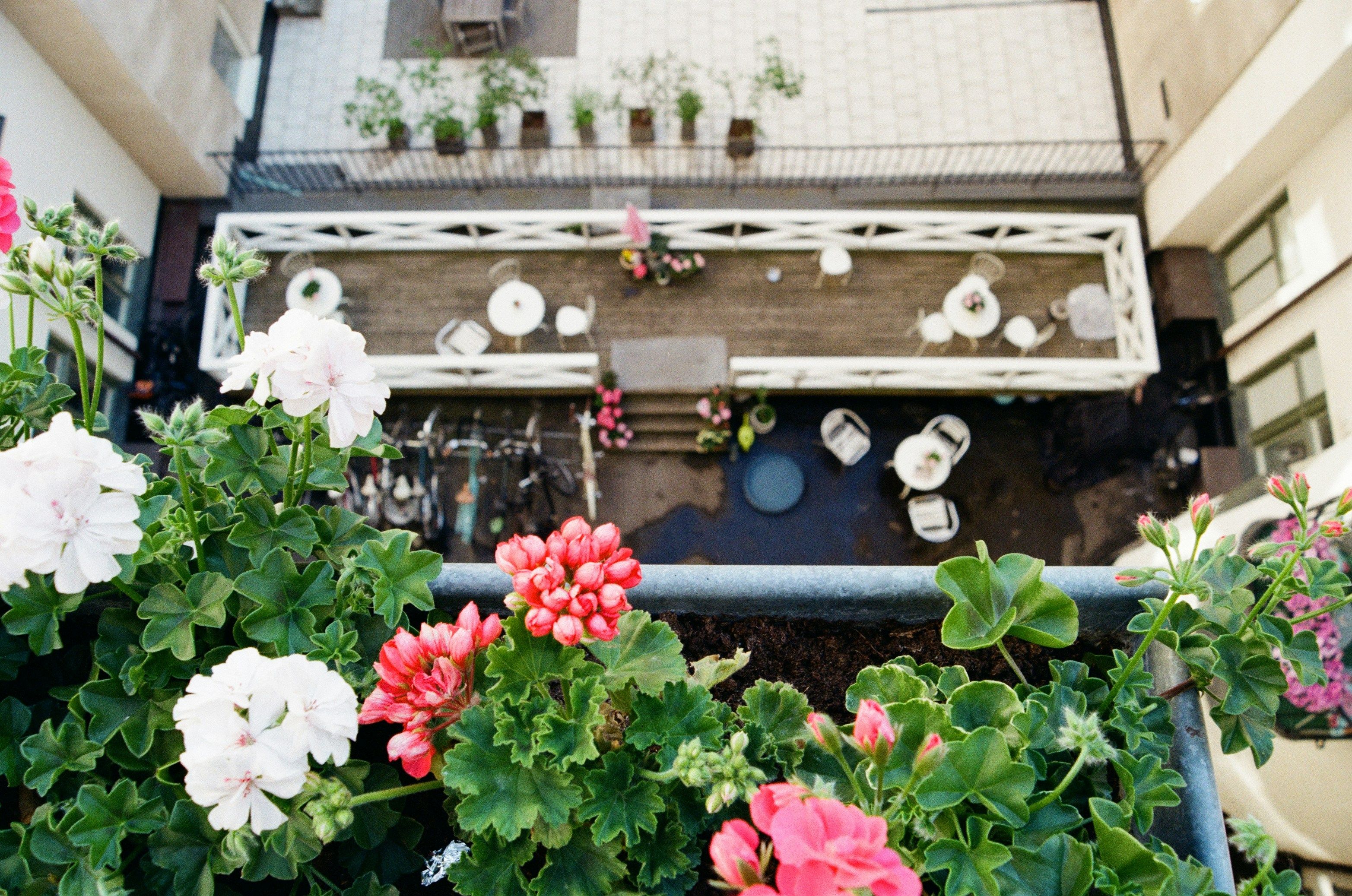 Balcony pollinator garden with colorful flowers supporting bees and butterflies in a biophilic space