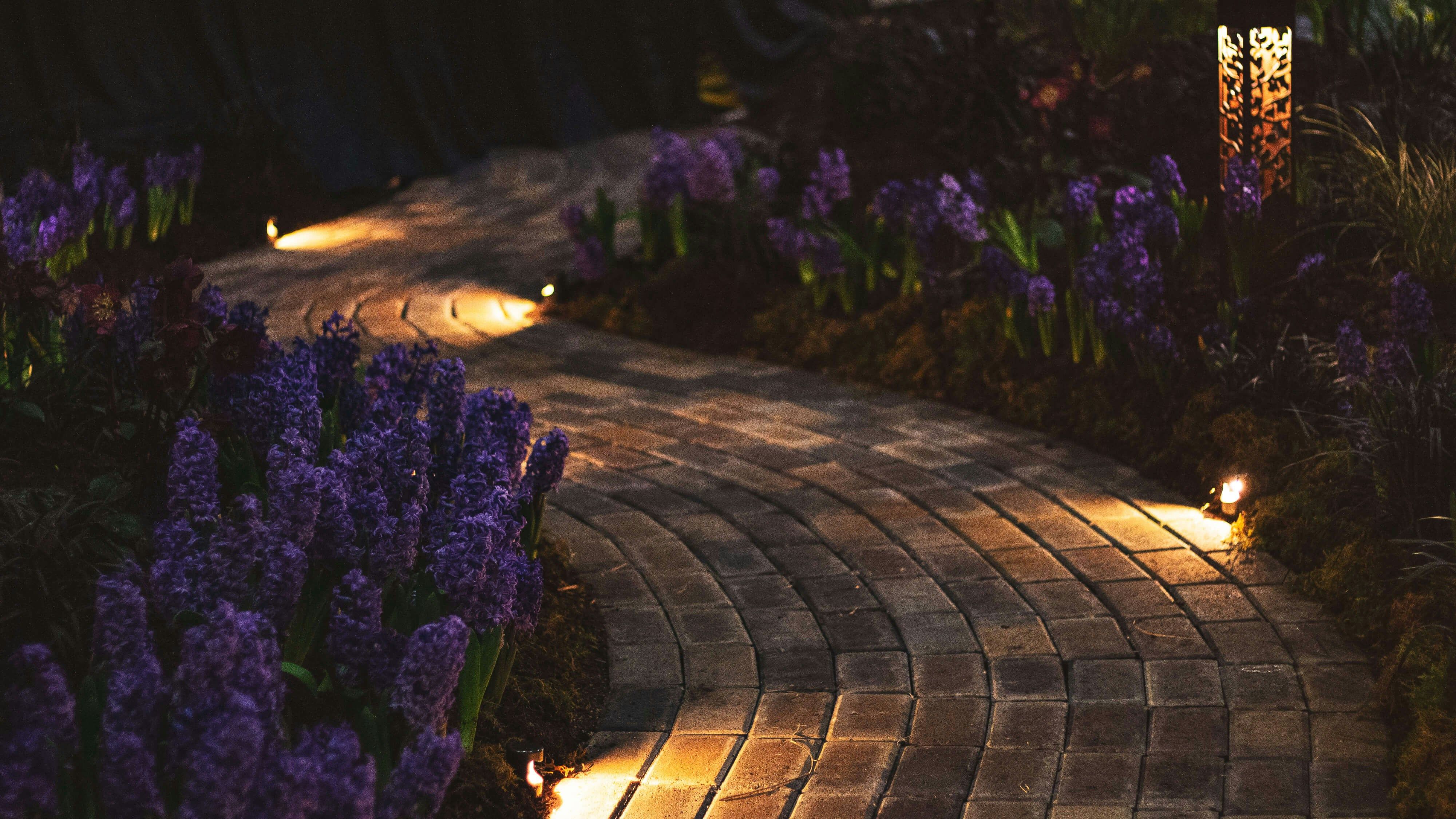 Outdoor path lit with eco-friendly solar lights in a sustainable biophilic garden