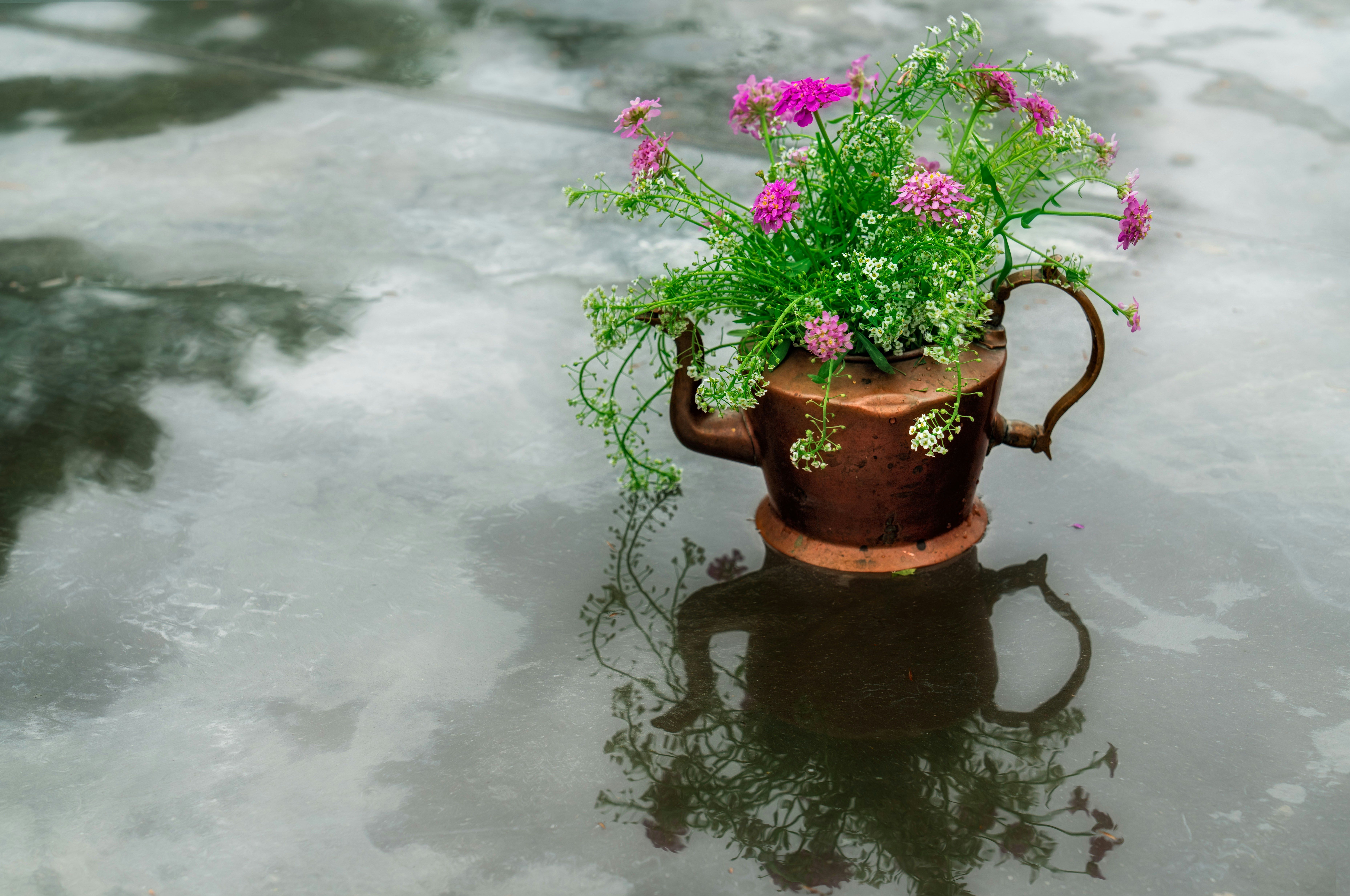 Upcycle planters from old containers to create unique and eco-friendly fall patio decorations that celebrate sustainability.