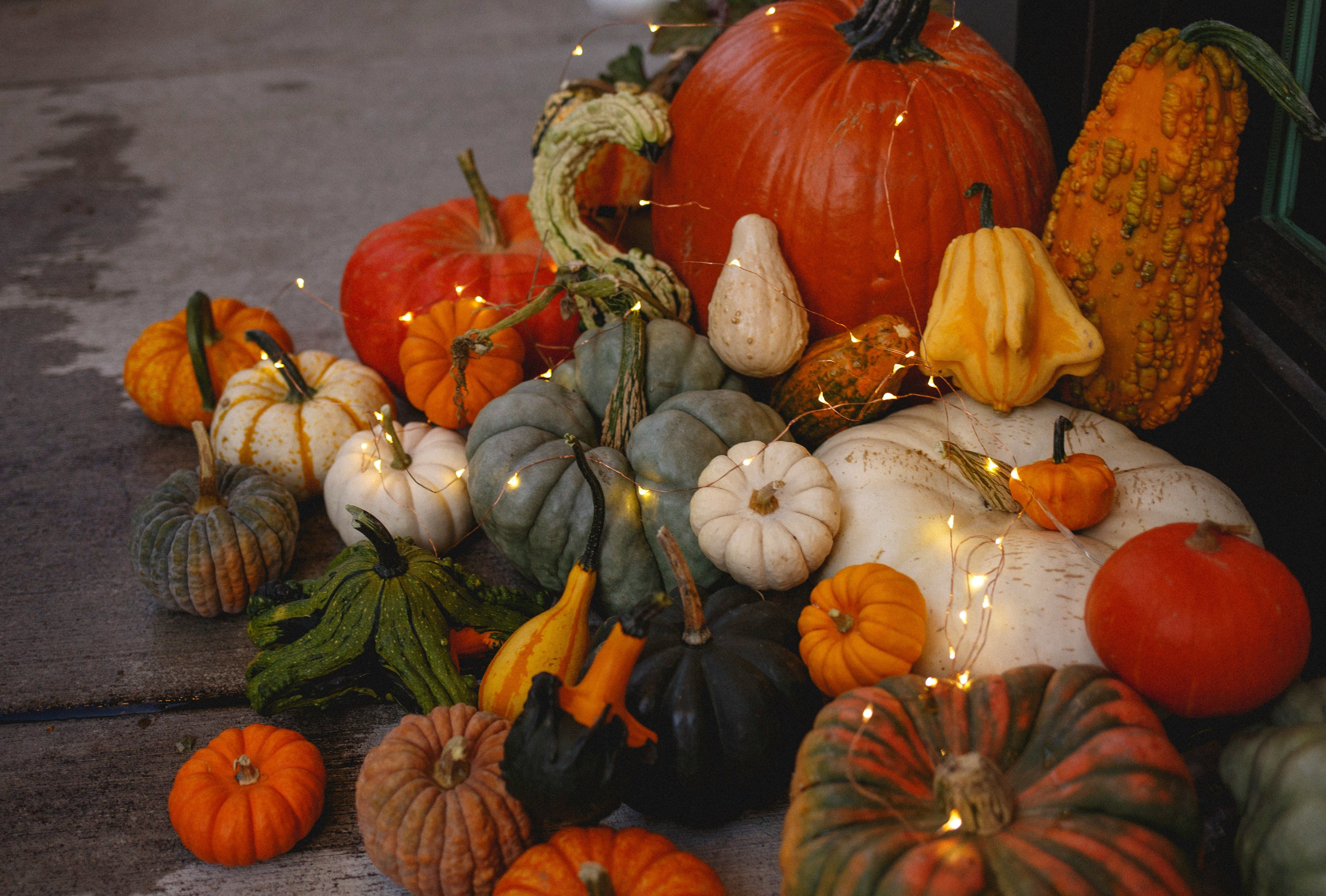 Use compostable decorations like pumpkins and gourds for eco-friendly fall patio decor that’s sustainable and seasonal.
